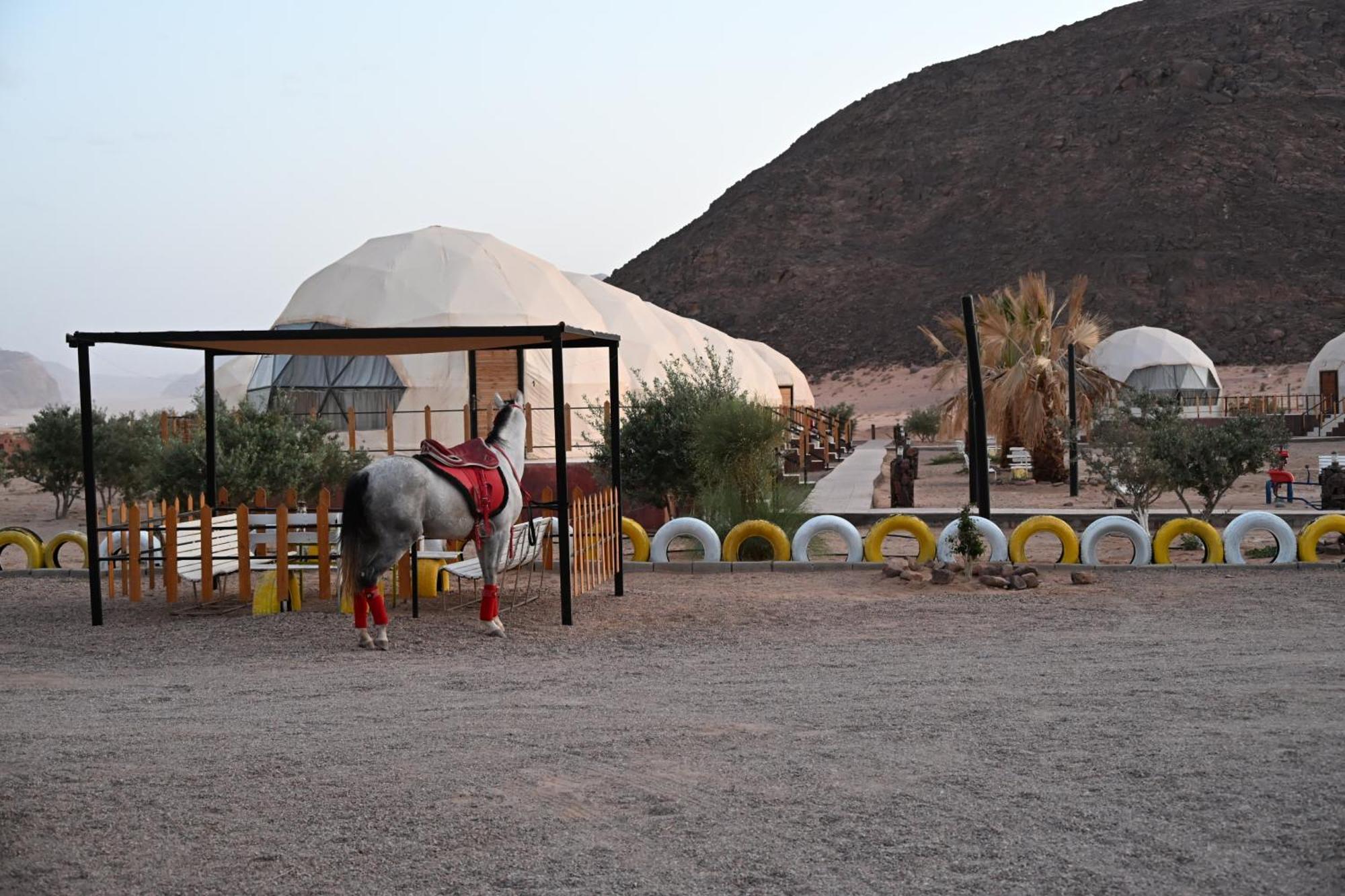 Bilal Luxury Camp Hotel Wadi Rum Exterior foto